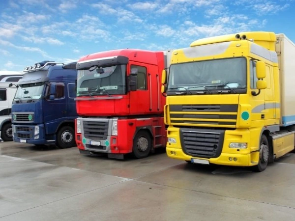 Antalya Çan Nakliye